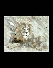Had Verheijen: Lion painting / Leeuw Schilderij