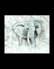 Had Verheijen: Elephant painting