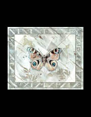 Had Verheijen: Butterfly painting / Vlinder Schilderij